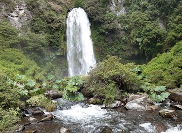 chile/los-rios-region/landmark/termas-el-rincon