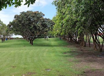 barbados/saint-michael/landmark/national-botanical-gardens