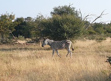 south-africa/kruger-national-park/landmark/balule-game-reserve