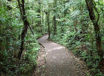 costa-rica/monteverde-cloud-forest/landmark/wildlife-refuge-monteverde