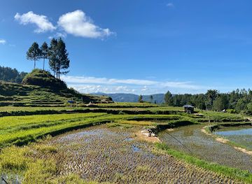 indonesia/tana-toraja/landmark/sarambu-ratte-balla