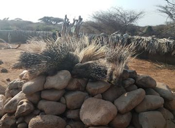 djibouti/dikhil/landmark/decan-refuge