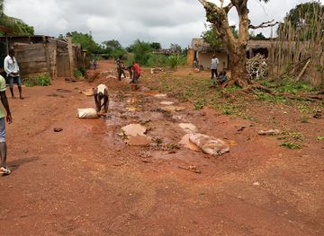 cote-d-ivoire/bas-sassandra/landmark/tai-national-park