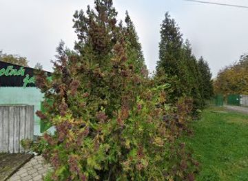 slovakia/tekov/landmark/tassat-jozef-hostinsky