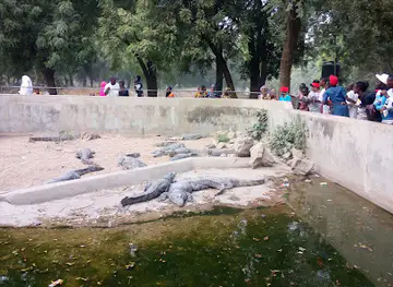 Zoo Bridge