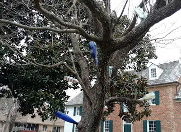 Ferry Plantation House