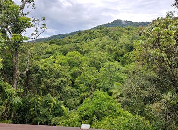 australia/cape-tribulation/landmark/daintree-discovery-centre