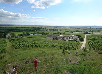 hungary/tokaj-wine-region/landmark/tokaj-disznoko-vineyards-and-winery-plc