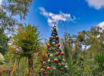 el-salvador/western-region/landmark/tematico-y-restaurante-alma-de-montana-park