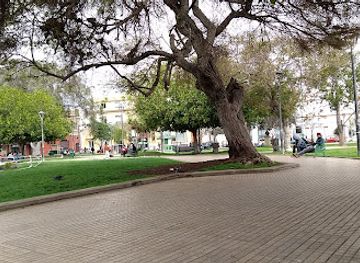 chile/la-serena/la-serena-downtown/landmark/plaza-de-armas-de-la-serena