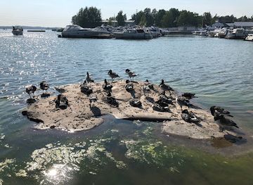 finland/helsinki-archipelago/landmark/sibelius-monument