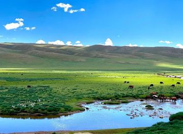 mongolia/khentii-mountains/landmark/khangai-mountains