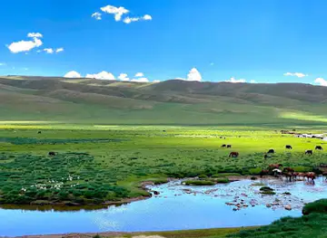 Khangai Mountains