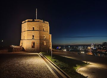 lithuania/vilnius-region/landmark/mount-gediminas-previous