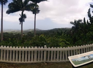 barbados/south-coast/landmark/welchman-hall-gully