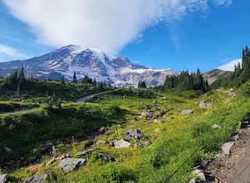 Mount Rainier National Park