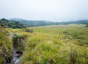 sri-lanka/horton-plains-national-park/landmark/kirigalpoththa-trail
