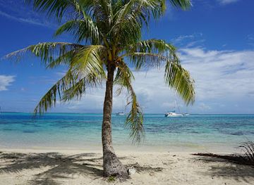 french-polynesia/windward-islands/landmark/belvedere-lookout
