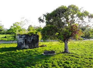 puerto-rico/fajardo/landmark/ruinas-de-carolina
