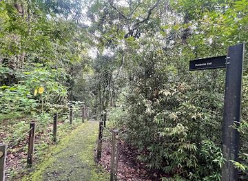 singapore/macritchie-reservoir/landmark/rambutan-trail