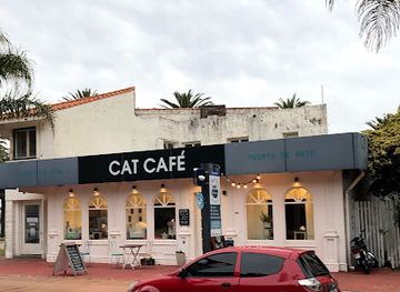 uruguay/punta-del-este/landmark/adrianuzca-s-cat-cafe