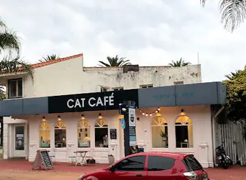 Adrianuzca´s Cat Café