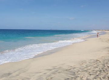 cabo-verde/santa-maria-beach/landmark/projeto-biodiversidade