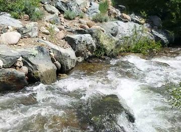 nevada/reno/landmark/galena-forest