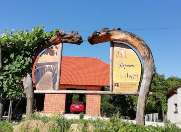 slovenia/posavje/landmark/aljoska-najger-runtas-nosilka-dopolnilne-dejavnosti-na-kmetiji