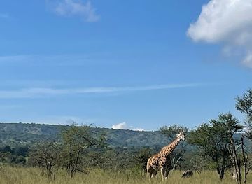 rwanda/akagera-national-park/landmark/legendary-tours-and-travel-rwanda