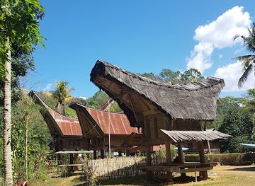 indonesia/tana-toraja/landmark/baby-grave-tree-toraja