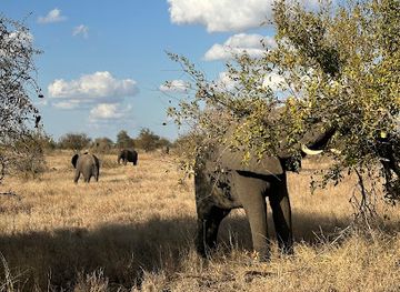 south-africa/lowveld/landmark/bushbaby-adventures-tours-safaris