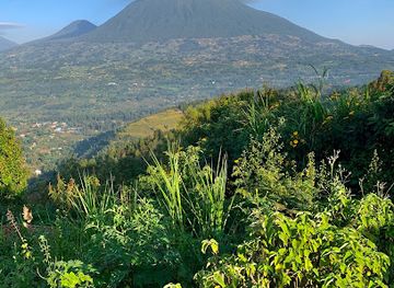 rwanda/volcanoes-national-park/landmark/muhavura-volcano