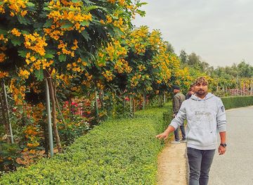 kuwait/bubiyan-island/landmark/abdali-farm