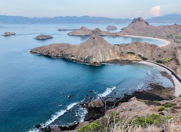 indonesia/east-nusa-tenggara/landmark/travass-life-travel-agency-open-trip-komodo-open-trip-raja-ampat-open-trip-sumba-bali-tour