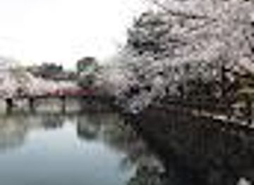 Shiromi Bridge