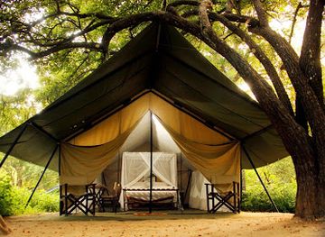 sri-lanka/yala-national-park/landmark/yala-safari-camping