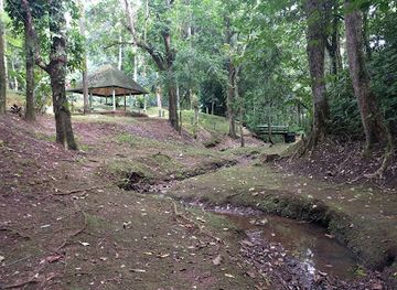 puerto-rico/yunque-national-forest/landmark/bosque-estatal-de-rio-abajo