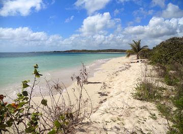 puerto-rico/vieques-island/landmark/playa-la-chiva