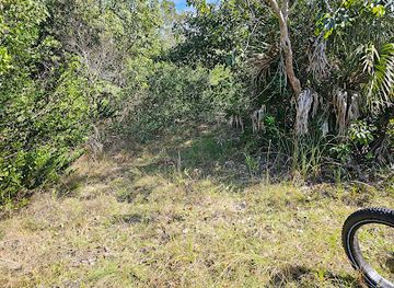 florida/everglades/landmark/old-ingraham