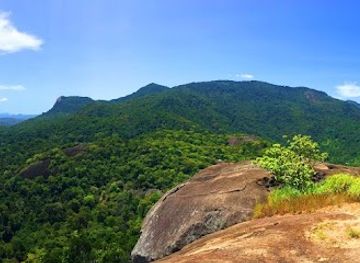 sri-lanka/moneragala-district/landmark/mayuragiriya-ancient-temple