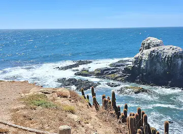 Mirador Punta Lobos - Pichilemu