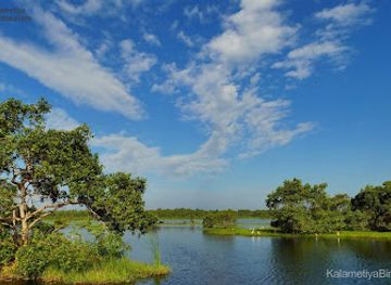 sri-lanka/wet-zone/landmark/kalametiya-bird-sanctuary-bird-watching-ecotourism