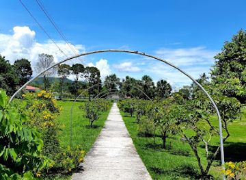 costa-rica/los-santos-region/landmark/catie-botanical-garden