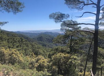 cyprus/troodos-national-forest-park/landmark/hiking-route-chorteri-nature-trail