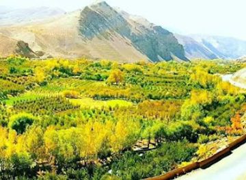 afghanistan/parwan/landmark/golbahar-business-center