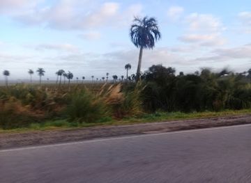 uruguay/rocha/landmark/laguna-de-castillos