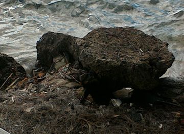 french-polynesia/raiatea/landmark/raiatea-yacht
