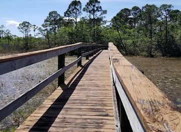 florida/treasure-coast/landmark/spruce-bluff-preserve