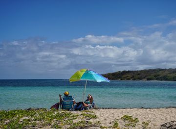 puerto-rico/vieques-island/landmark/finca-victoria-vieques